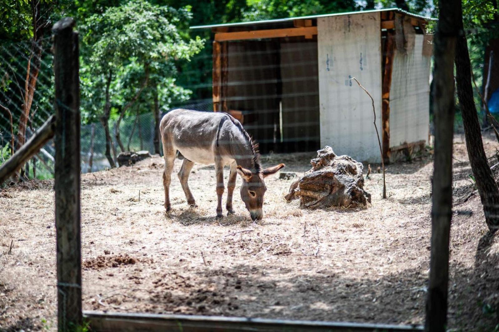 Tenuta Santo Stefano Azienda Agrituristica Santo Stefano del Sole Екстер'єр фото